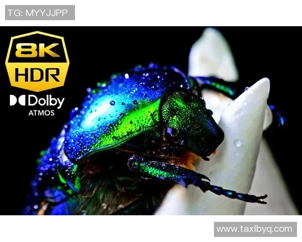 足球巨星超高清8K竖屏手机壁纸精彩呈现助你体验极致视觉享受