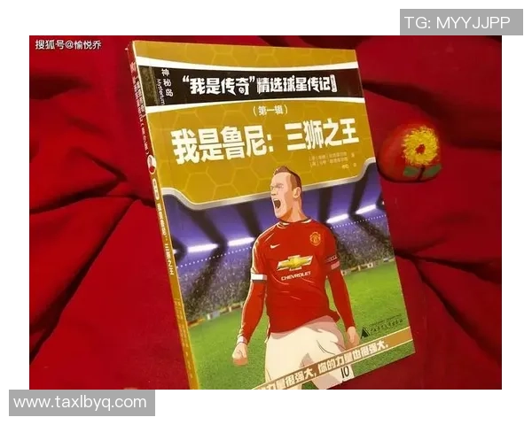 球星退役后年薪水平与足球产业发展之间的深度关系探讨