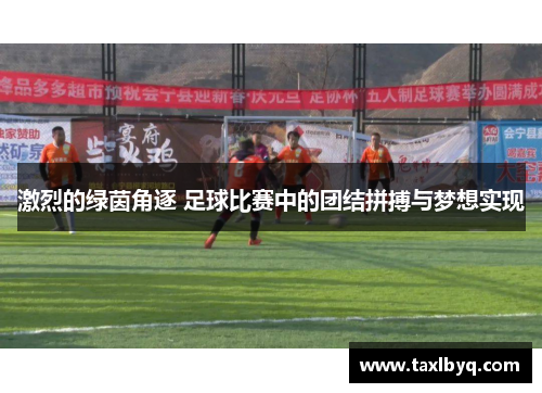 激烈的绿茵角逐 足球比赛中的团结拼搏与梦想实现